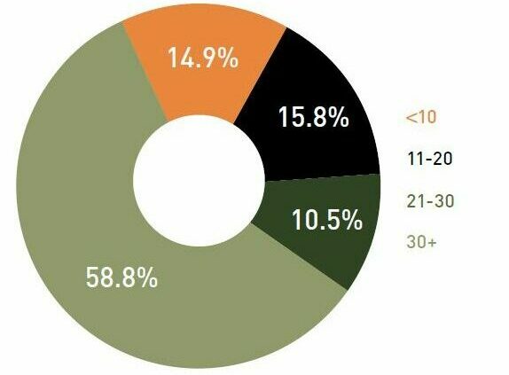 pie chart